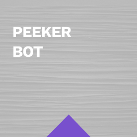 PEEKER bot